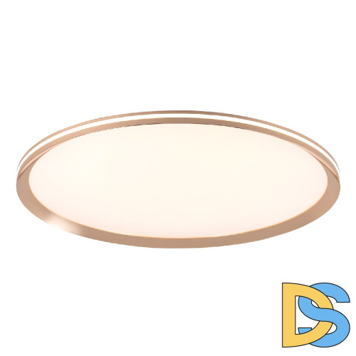 Потолочный светильник LED4U L3020-600 GD