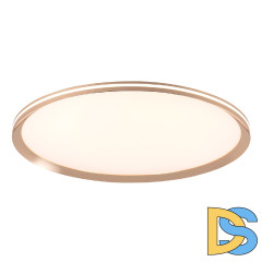 Потолочный светильник LED4U L3020-600 GD