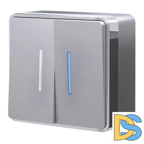 Выключатель двухклавишный Werkel с подсветкой Gallant (серебряный) W5020106