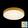 Потолочный светильник Loft IT AXEL 10002/24 Yellow