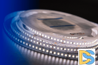 Светодиодная лента DesignLed DSG2168-24-NW-33 001819