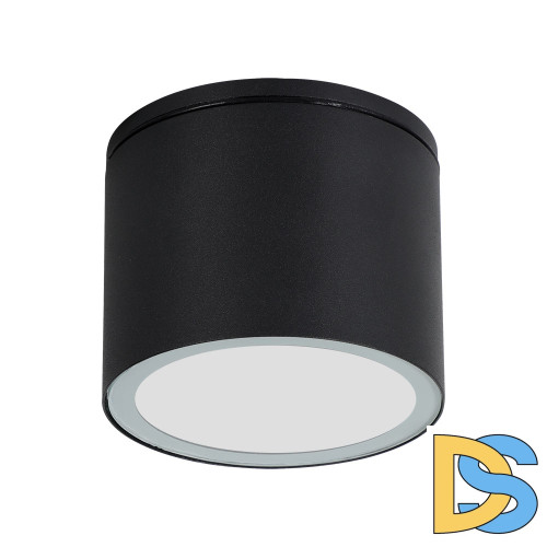 Уличный потолочный светильник Arte Lamp Piautos A1913PF-1BK