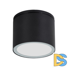 Уличный потолочный светильник Arte Lamp Piautos A1913PF-1BK