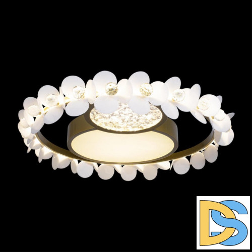 Потолочный светильник Loft IT Bride 10174