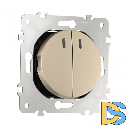 Выключатель двухклавишный с подсветкой Arte Milano 202.31-2.shampan