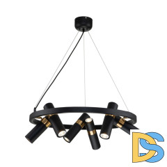 Подвесная люстра Favourite Light point 2997-6P