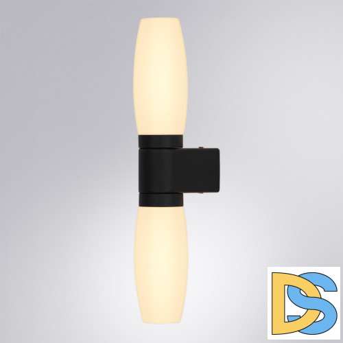 Подсветка для зеркал Arte Lamp Aqua-bastone A1209AP-2BK