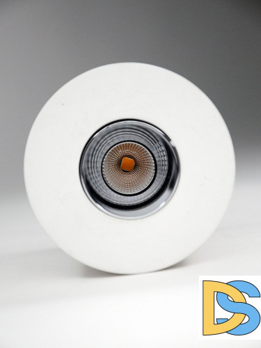 Накладной светильник Elvan NLS-210067-4.2W-WW-WhCh