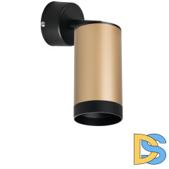 Встраиваемый спот Lightstar Rullo RB440437 (214440+590007+203437)