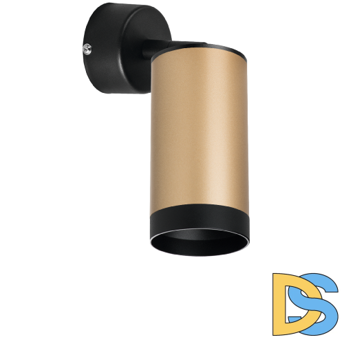 Встраиваемый спот Lightstar Rullo RB440437 (214440+590007+203437)