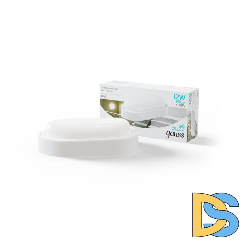 Уличный светодиодный светильник Gauss 161411212