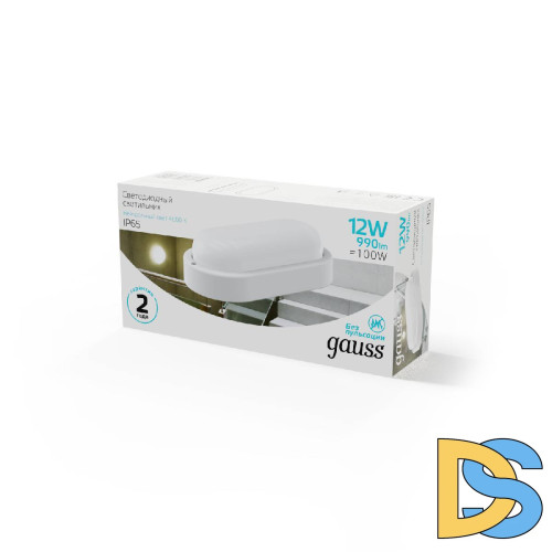 Уличный светодиодный светильник Gauss 161411212