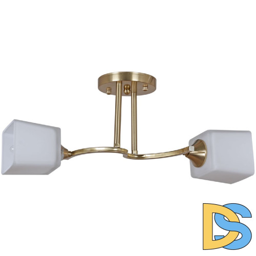 Потолочный светильник Reluce 06397-0.3-02 COP