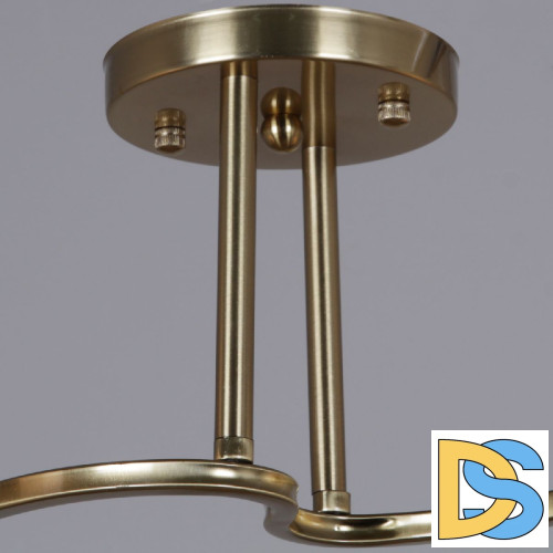 Потолочный светильник Reluce 06397-0.3-02 COP