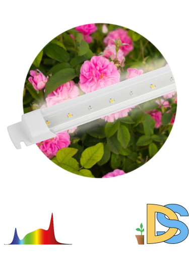 Линейный светильник Эра FITO-10W-Т5-Ra90-Slim Б0057400