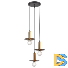 Подвесная люстра Vele Luce Gustoso VL5892P13