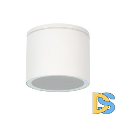 Уличный потолочный светильник Arte Lamp Piautos A1913PF-1WH