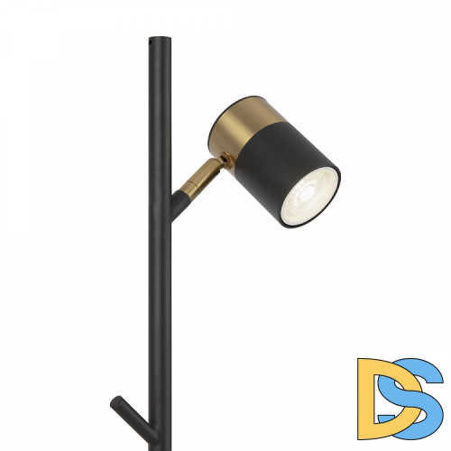 Торшер Freya Enzo FR5201FL-01B