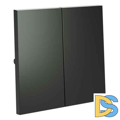 Клавиши для выключателя/переключателя двухклавишного, S70 (титан)