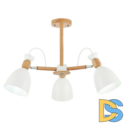 Потолочный светильник EVOLUCE BALCAMO SLE103802-03