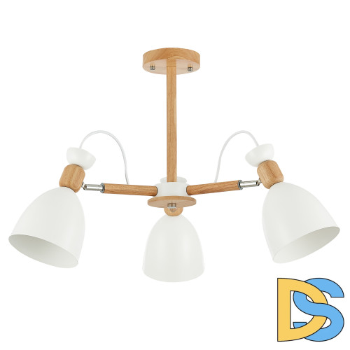 Потолочный светильник EVOLUCE BALCAMO SLE103802-03