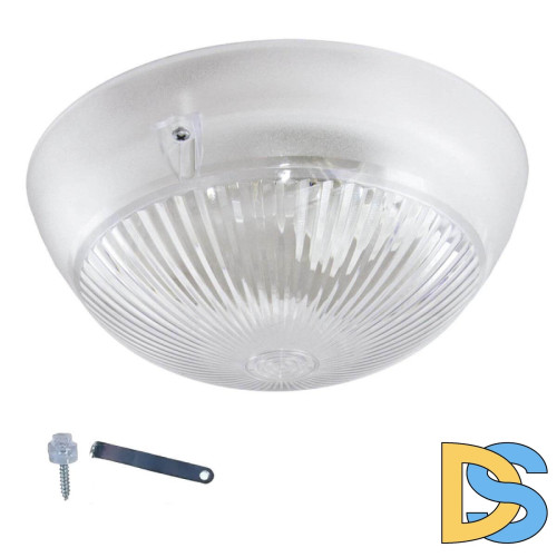 Настенно-потолочный светильник ЭРА НБП 06-60-011 Б0048409