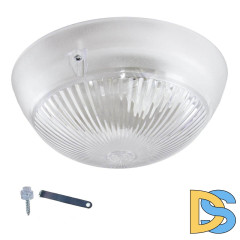 Настенно-потолочный светильник ЭРА НБП 06-60-011 Б0048409