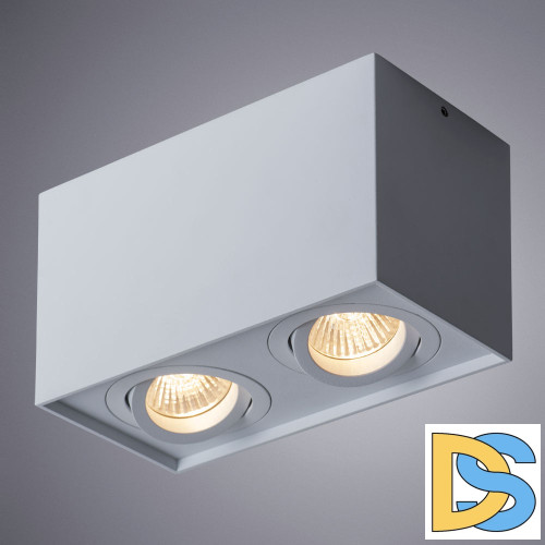 Потолочный светильник Arte Lamp Factor A5544PL-2WH