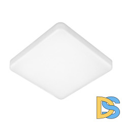 Потолочный светильник Elektrostandard DLS043 10W 4200K a047941