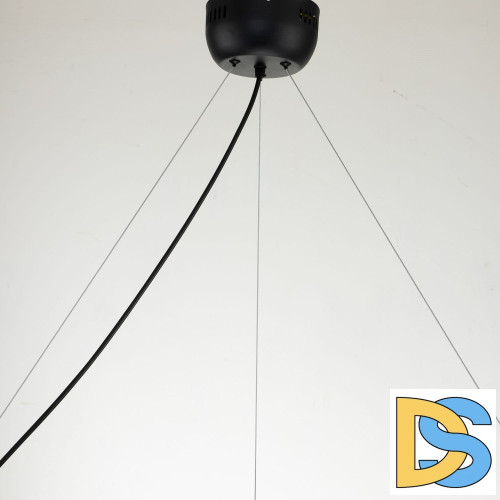 Подвесная люстра Favourite Light point 2997-9P