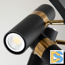 Подвесная люстра Favourite Light point 2997-9P