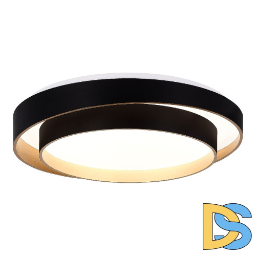 Потолочный светильник Evoluce Crosby SLE6009-402-01