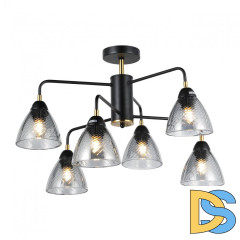 Потолочная люстра IMEX MD.74318-6-S-BK+BR