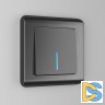 Выключатель одноклавишный Werkel проходной с подсветкой (графит рифленый) W1112104