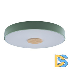 Потолочный светильник Loft IT AXEL 10003/24 Green