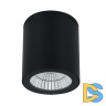 Уличный потолочный светильник Arte Lamp Torcular A1813PF-1BK