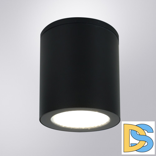 Уличный потолочный светильник Arte Lamp Torcular A1813PF-1BK