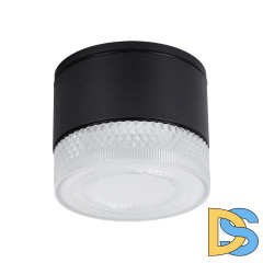 Уличный потолочный светильник Arte Lamp Piautos A1926PF-1BK