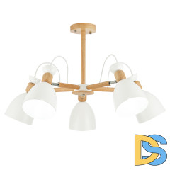 Потолочный светильник EVOLUCE BALCAMO SLE103802-05