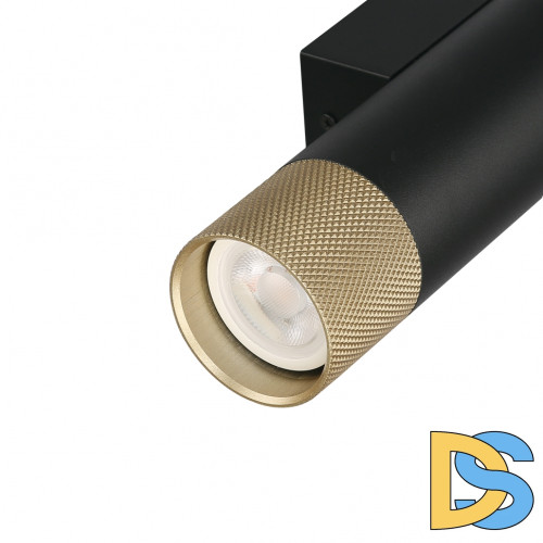 Настенный светильник iLedex Delta 2365-2 BK+BR