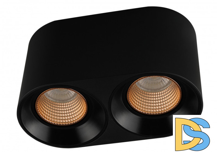 Накладной светильник Denkirs DK3096-BK+BR