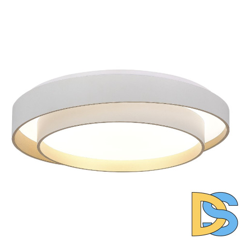 Потолочный светильник Evoluce Crosby SLE6009-502-01