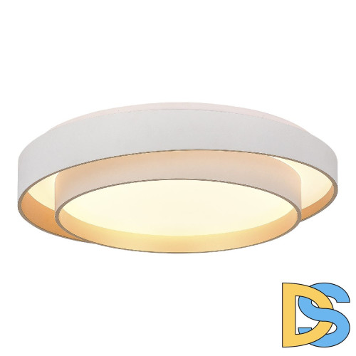 Потолочный светильник Evoluce Crosby SLE6009-502-01