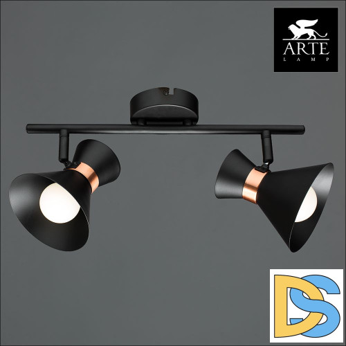 Спот Arte Lamp Baltimore A1406AP-2BK