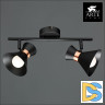 Спот Arte Lamp Baltimore A1406AP-2BK