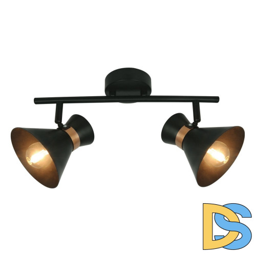 Спот Arte Lamp Baltimore A1406AP-2BK