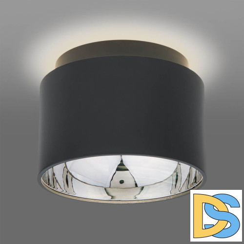 Потолочный светильник Elektrostandard Charlie 1069 GX53 GR графит 4690389167874