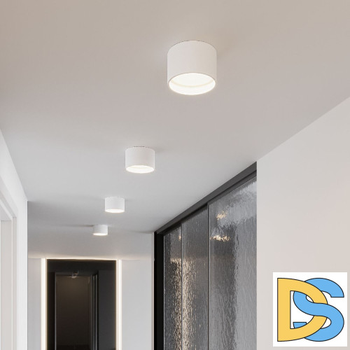 Накладной светильник Elektrostandard Banti 4690389196737 a063927