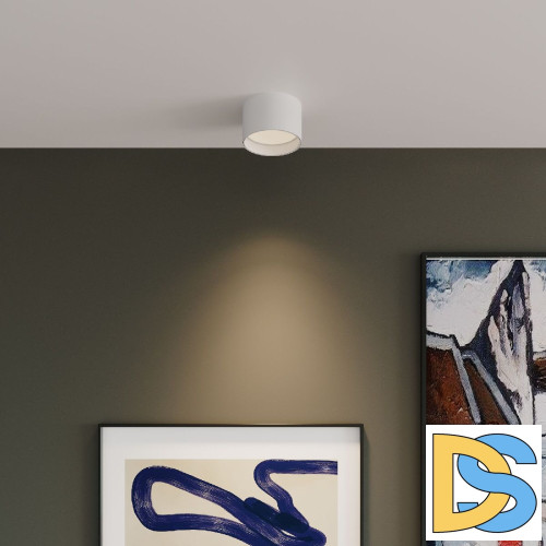 Накладной светильник Elektrostandard Banti 4690389196737 a063927