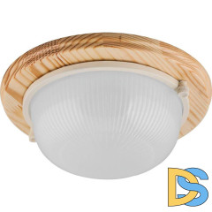 Настенно-потолочный светильник Feron НБО 0360011 11569